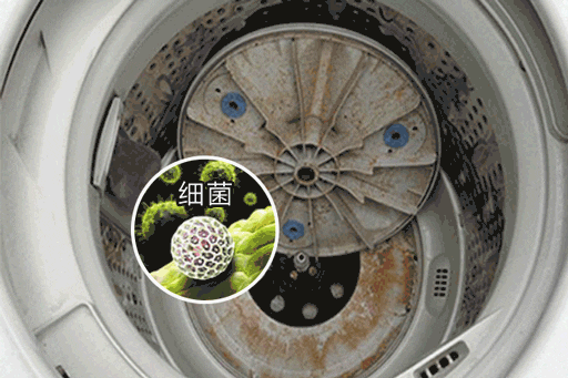洗衣机几个月不洗，比马桶还脏？教你正确做法，每天干干净净