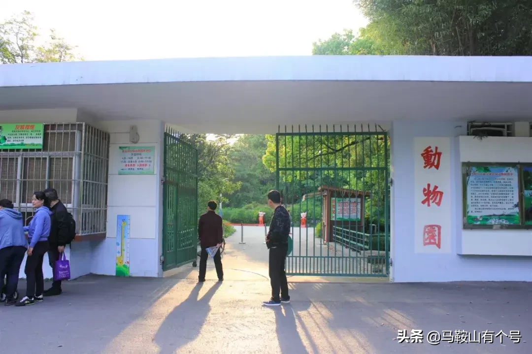 马鞍山人，别忘了动物园！这里曾是我们的全部！