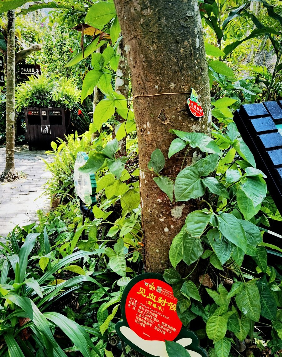 植物界剧毒农药TOP10：识别高危农药品种及其危害