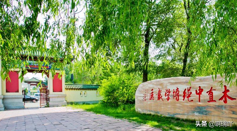 分数线丨2019年哈尔滨医科大学在陕西、山东、吉林各专业分数线