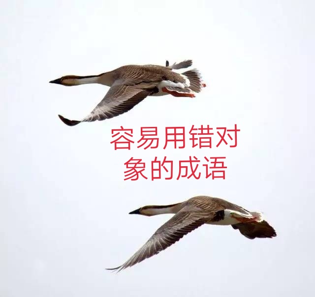 疮痍怎么读？曾老师讲故事详解拼音与含义