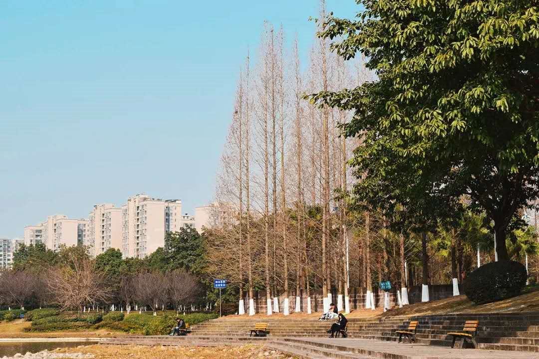 中国这10所大学壁纸第二期！厦门大学、中山大学等在列