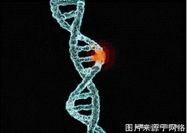 妊娠失败的男性因素有哪些？
