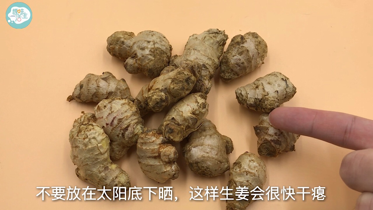 原来保存生姜这么简单，教你一个诀窍，不干不坏，放上一年都新鲜