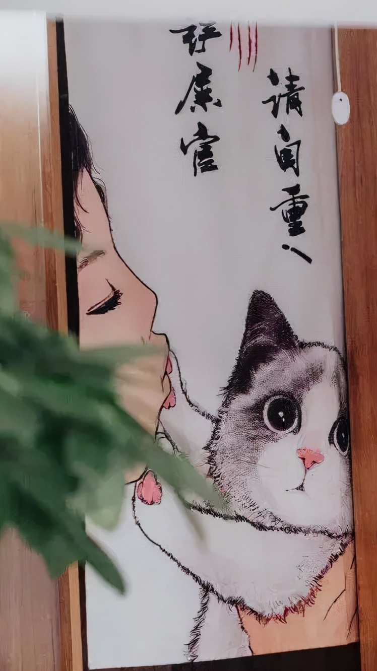 「探GAI」沈阳，那些正被猫治愈的年轻人