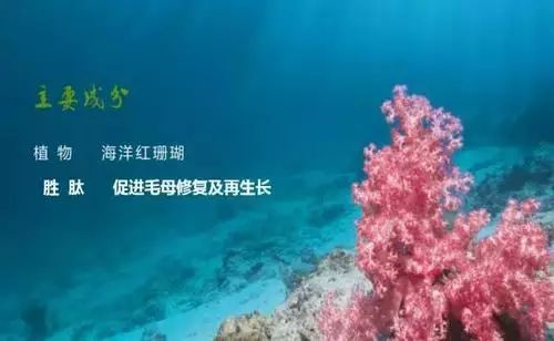 才知睫毛可后天生长！睡前涂睫毛自然增长1倍，短睫毛都看眼红了
