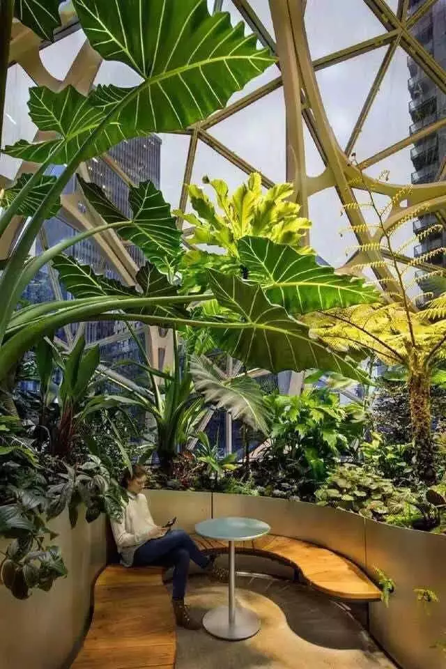 别人的办公室总是不会让我失望！这里工作太爽了