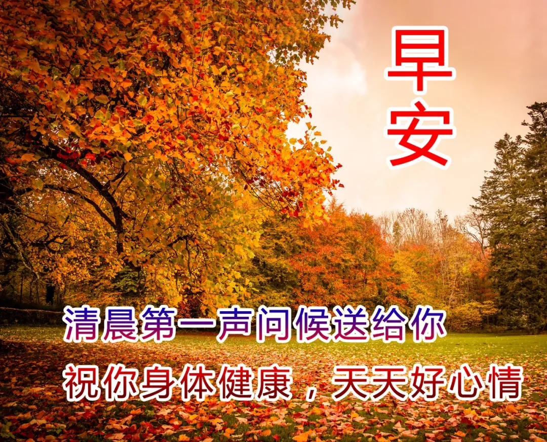适合发朋友圈的最新早安语录图片