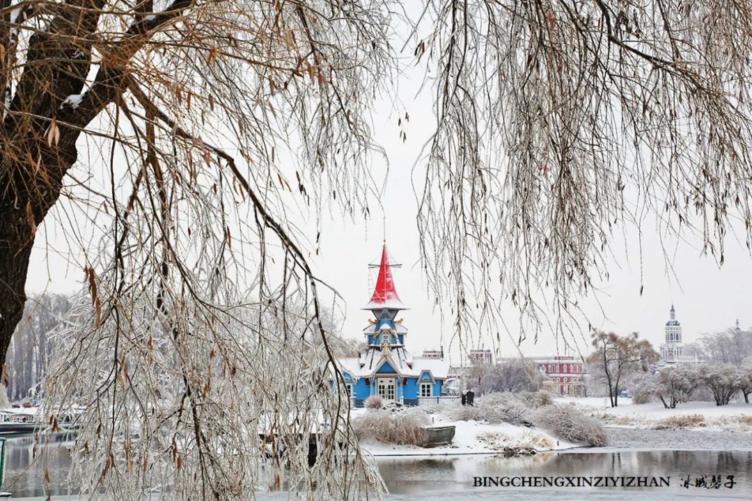 冰城暴雪冻雨之时，却让哈尔滨成为冬的水墨画卷