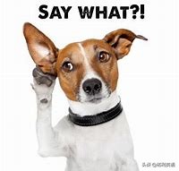 大学英语听力怎么练（英语听力）