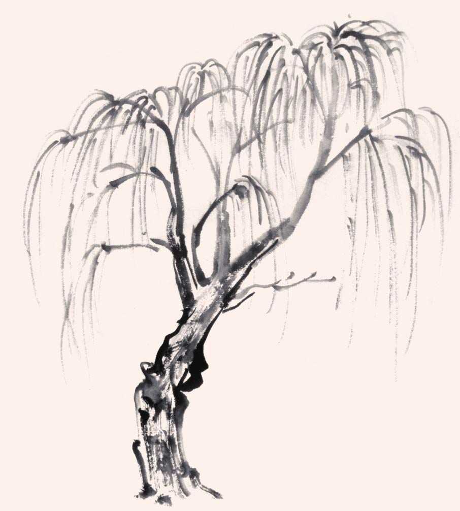 国画知识：分步骤图解教你画树，简单易学，收藏起来临摹学习