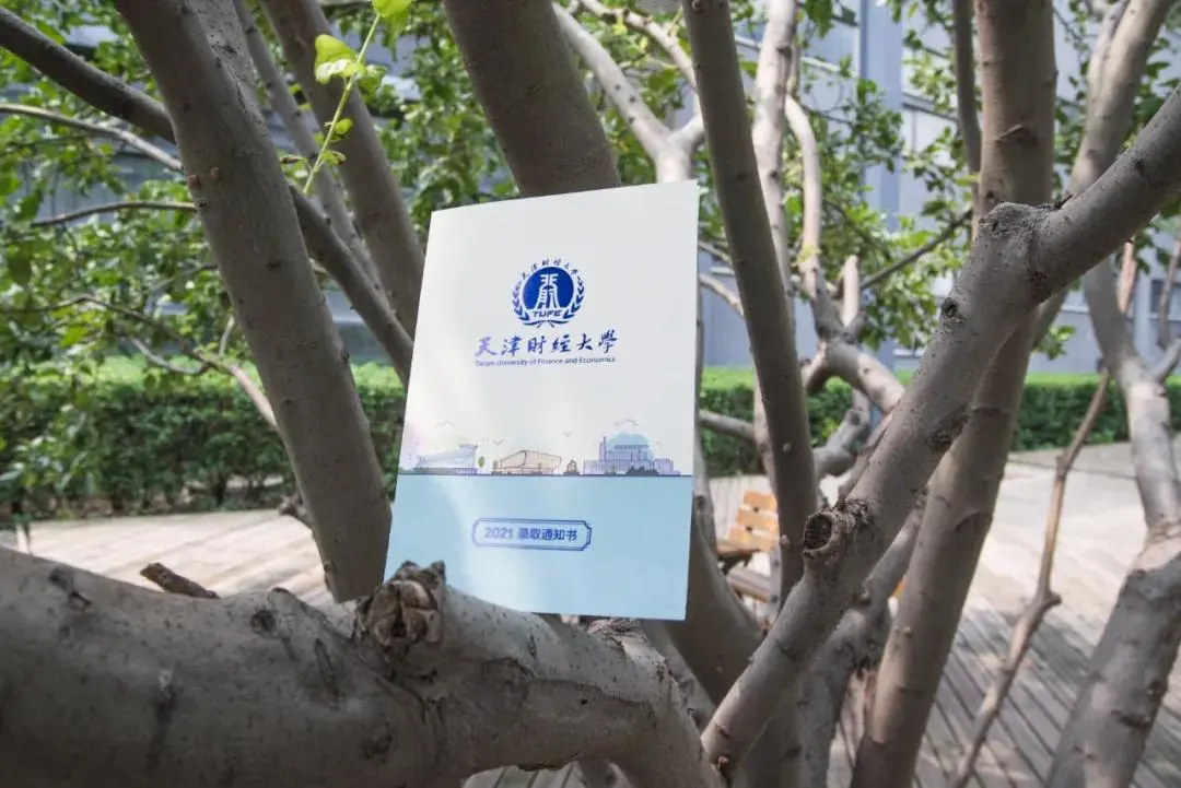 美出新高度！天津高校录取通知书来了，哪一款最戳中你心？