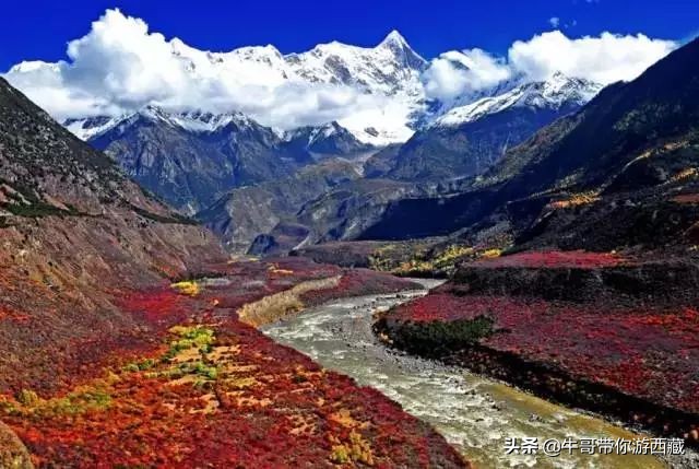 西藏林芝旅遊攻略(林芝的秋天) - 悅聞天下