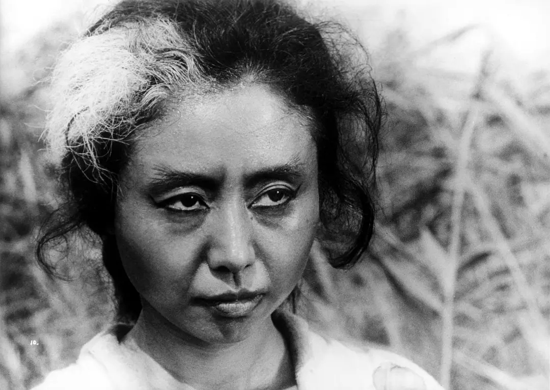 评分最高的十大日本恐怖片，《午夜凶铃》第6，《咒怨》未进前三