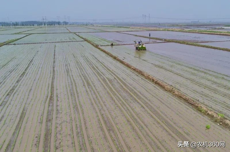 插秧機：70多個品牌，300個型號，5招教你消除選擇困難癥！