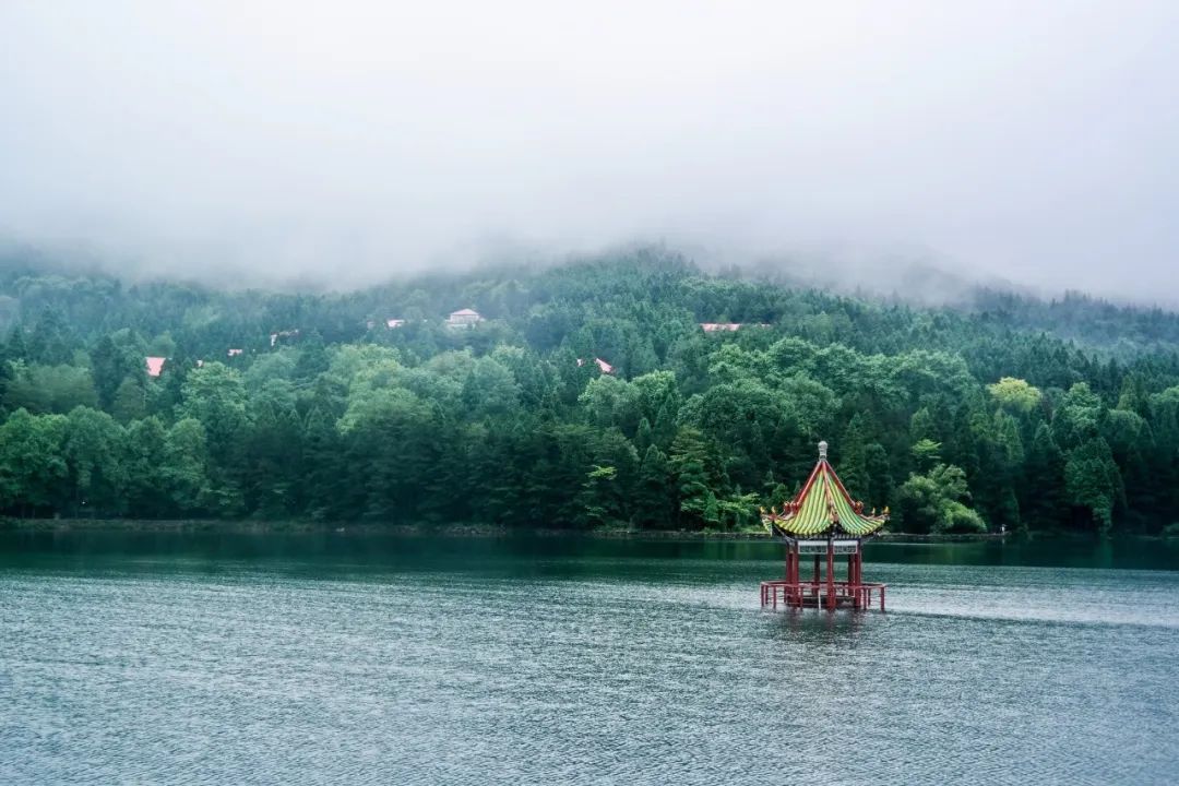 诗词｜下雨了，我真的好想你