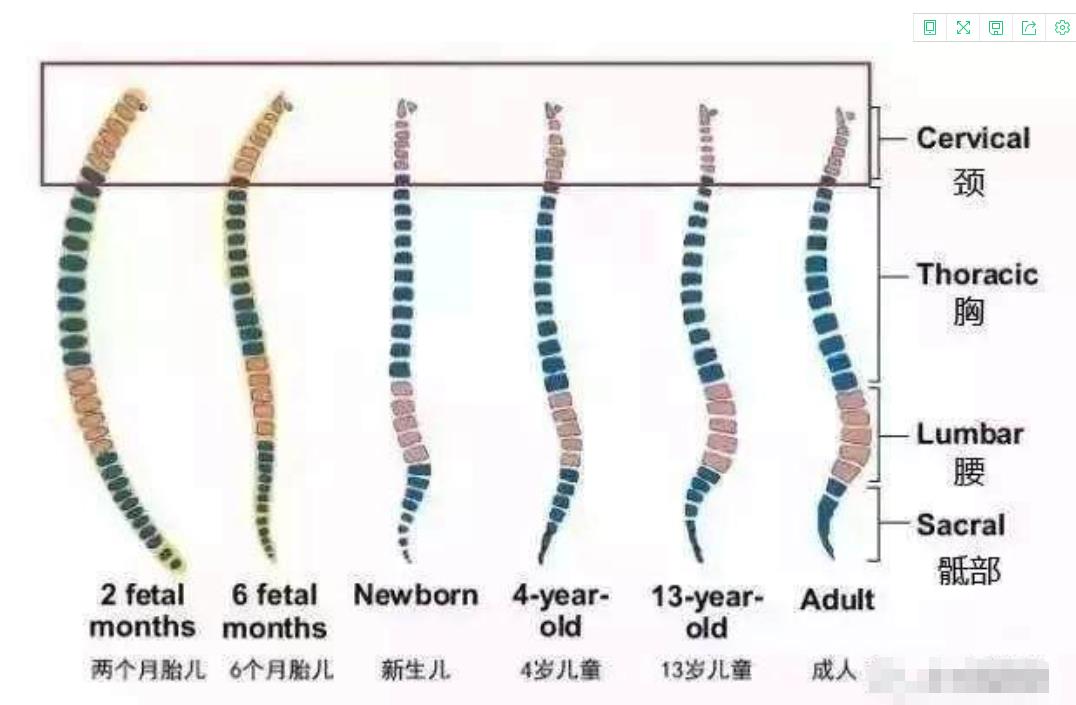 给宝宝用定型枕好处多？错，用了反而伤害，宝宝一岁前不需要枕头