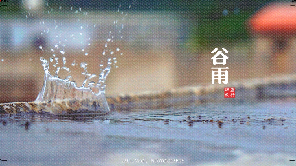 西南科技大学2021年在部分省份艺术类本科录取结束，成绩下降明显