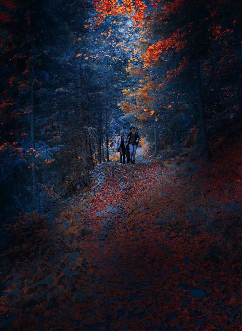 早安心灵鸡汤励志语录 早安励志的说说句子，得福翡翠