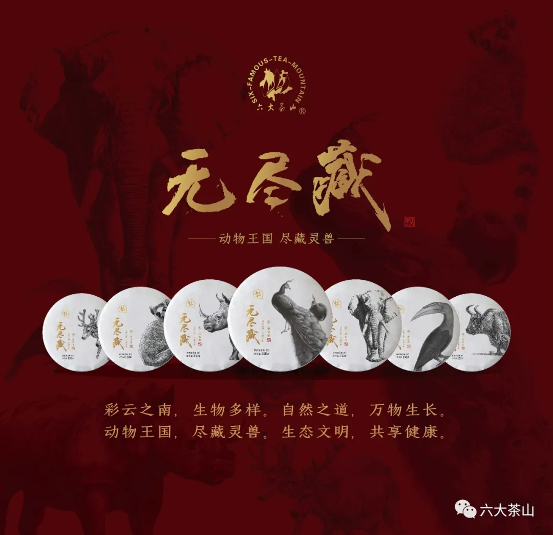 万物共生、无尽藏宝!六大茶山透过它向世人展示云南之美