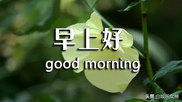 陰天朋友圈配文短句有哪些