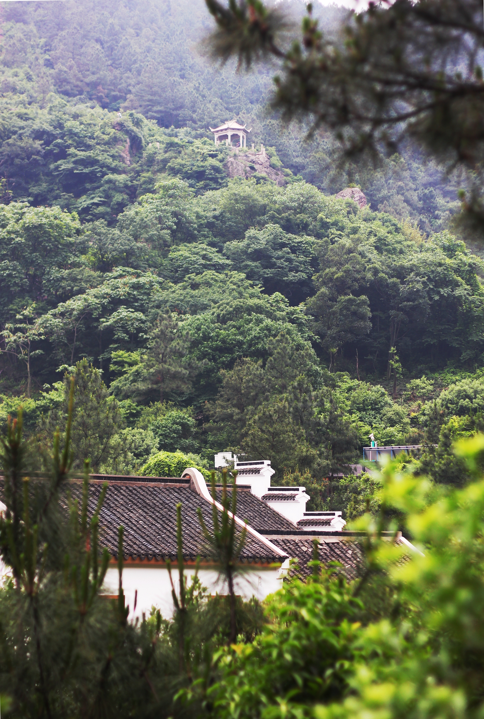 “占断天下白，压尽人间花”—单车骑游树山记