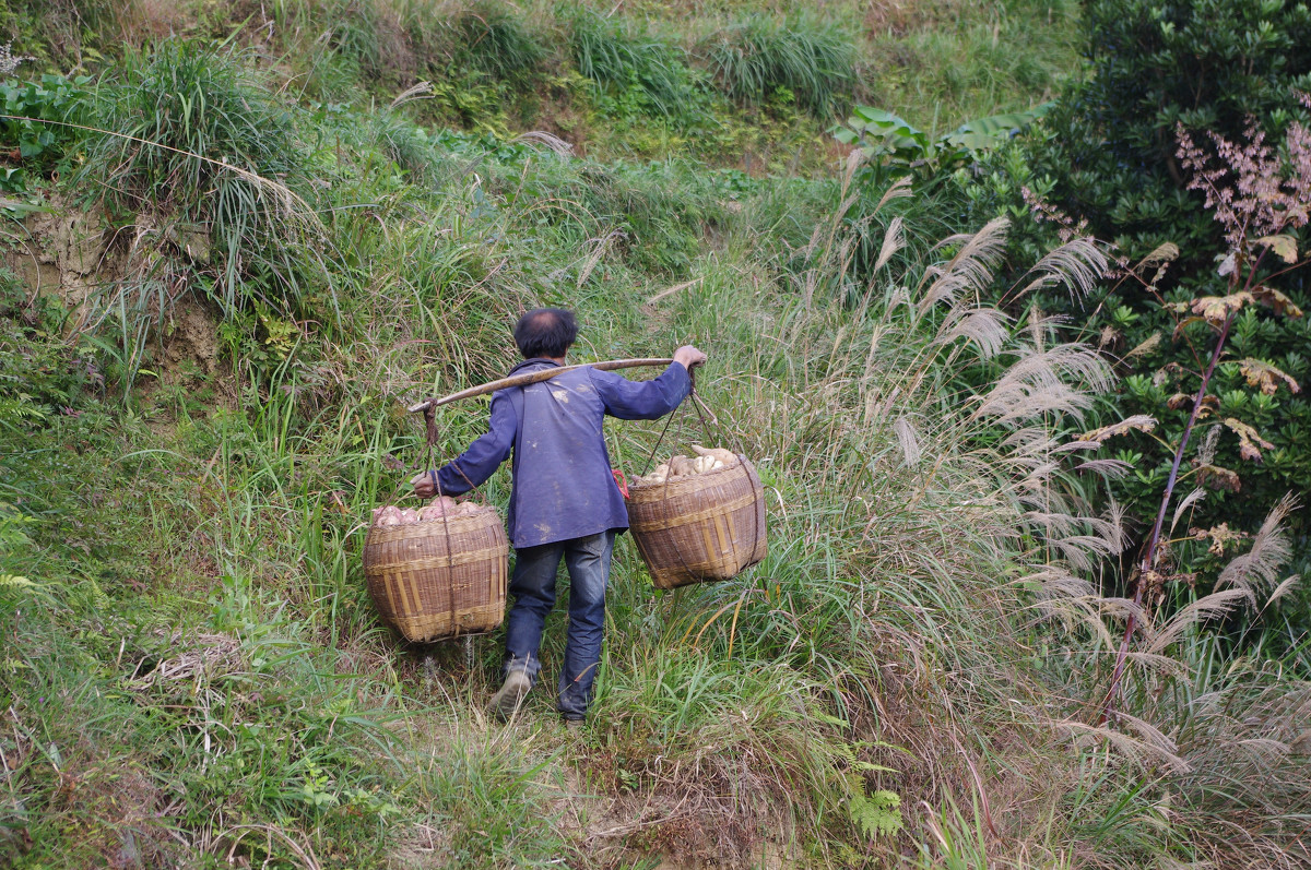 方晓红：骗婚单身汉反被卖，后因贩毒被捕，成福建首例注射死刑犯