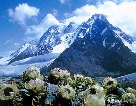 最矮的山(中国最小的山：长1.24米，宽0.7米，高0.6米，为何还能被称作山？)