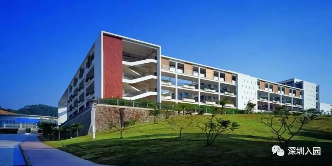 深圳超高性价比的国际学校！一年学费6万多，可从幼儿园直升高中