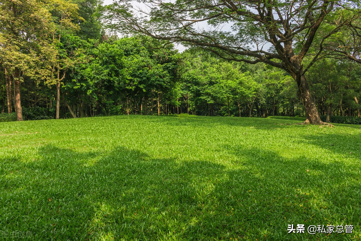 原来真正崩溃是没有声音的