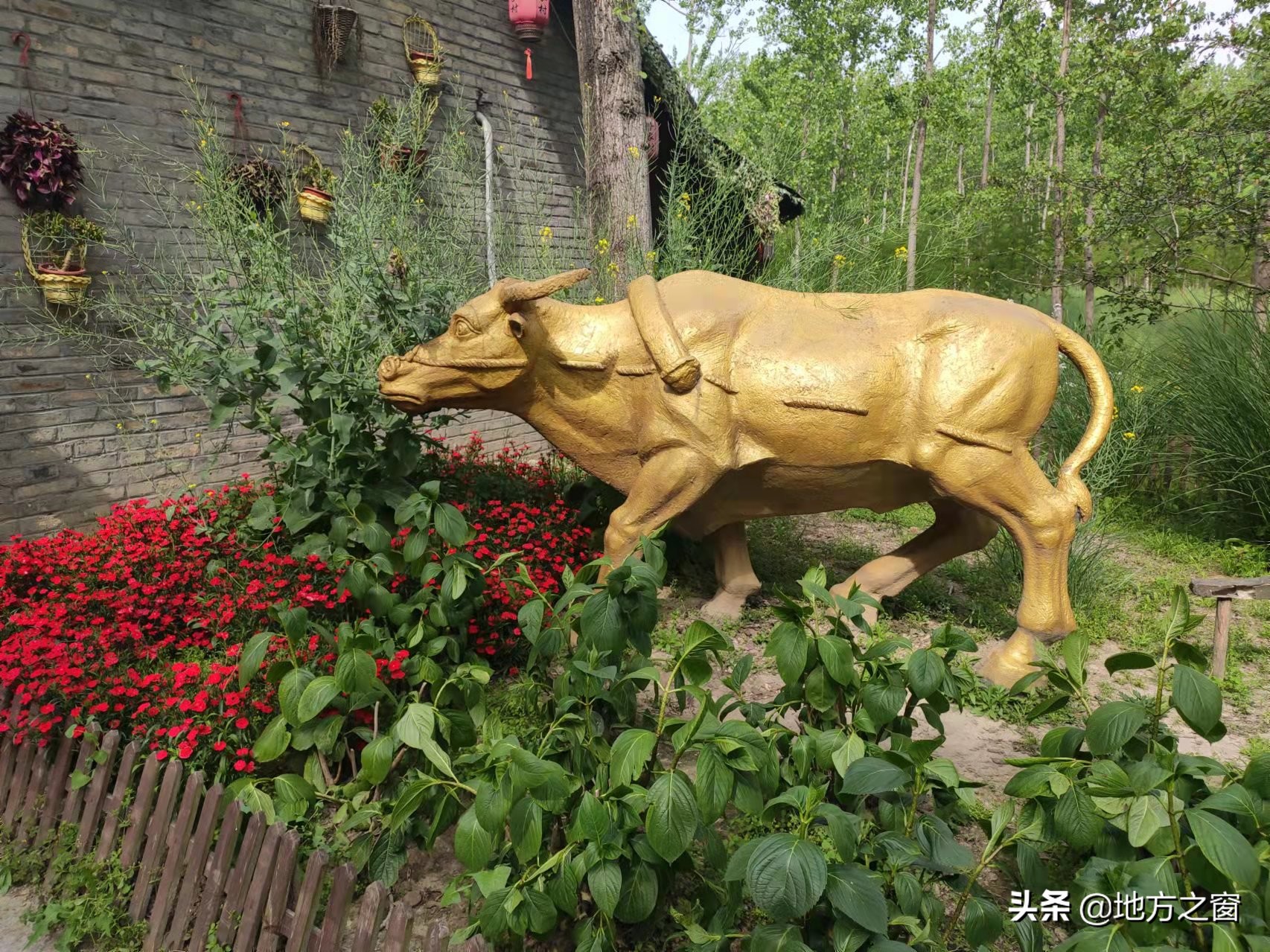 来合肥旅游，如何不花冤枉钱？请记住这3个景点
