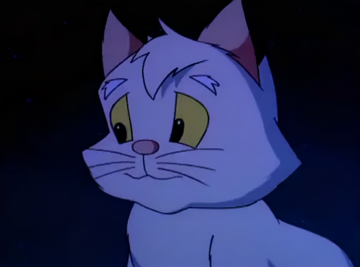 小贝流浪记,国内"最具教育意义的动画",成就了一只会飞的猫