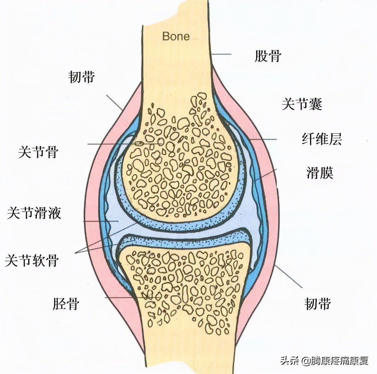 为什么一扭脖子就会咔咔响？脖子会断掉么