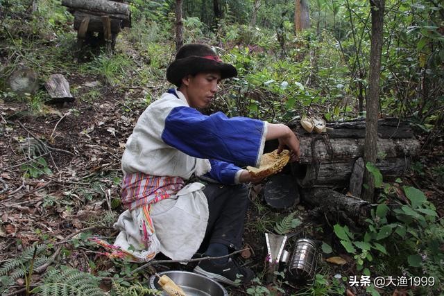 寻找最天然蜂蜜：到云南维西傈僳山寨品尝百花野蜂蜜