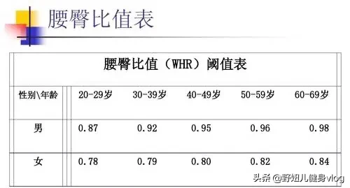 腰臀比为0.7的女性最有吸引力?腰线上升,改变比例