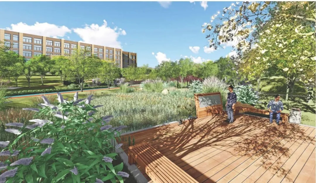 大工主校区的湖，要来啦！