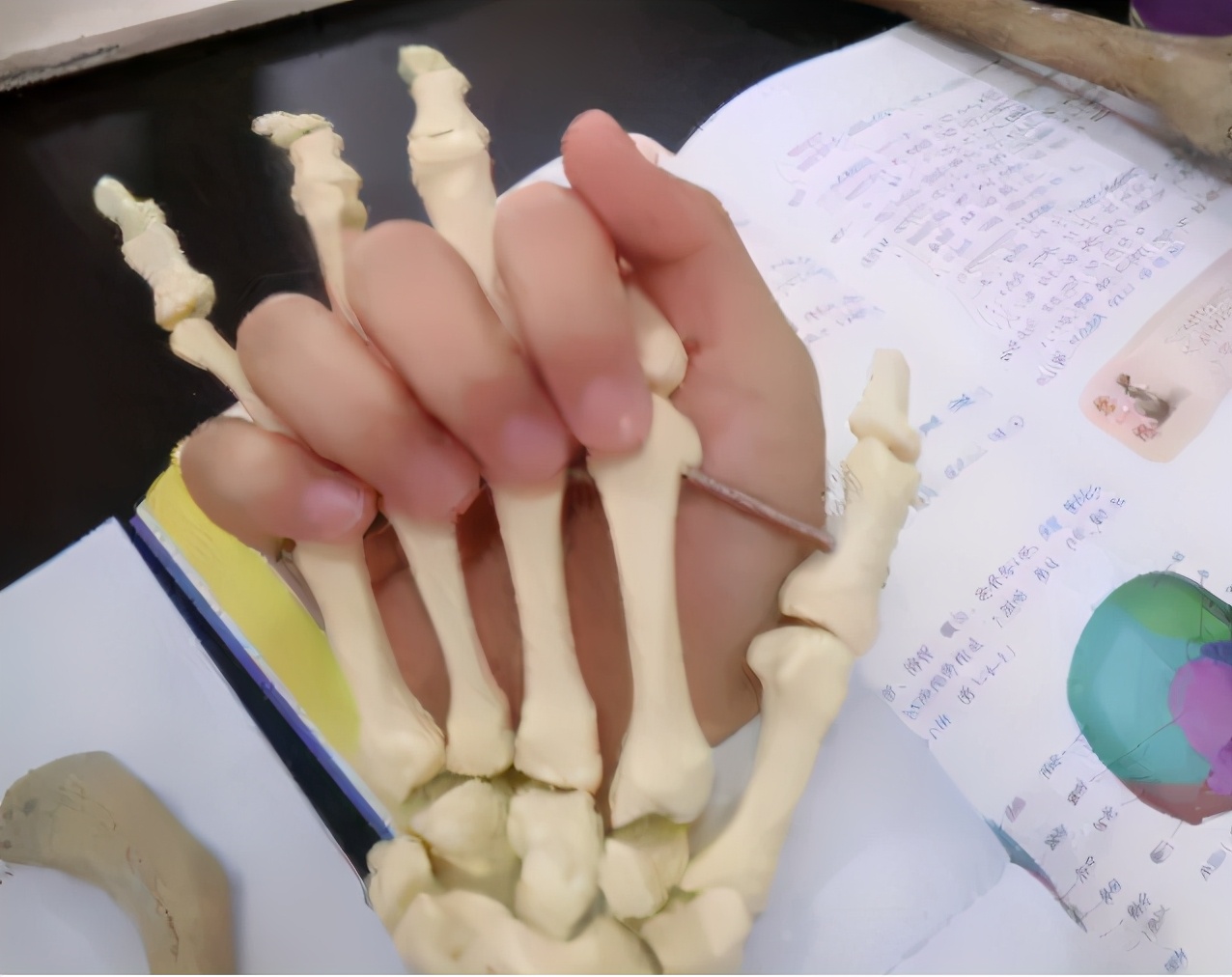 同样是"秀手",美术生手脏体育生手粗糙,医学生的手叫人心疼