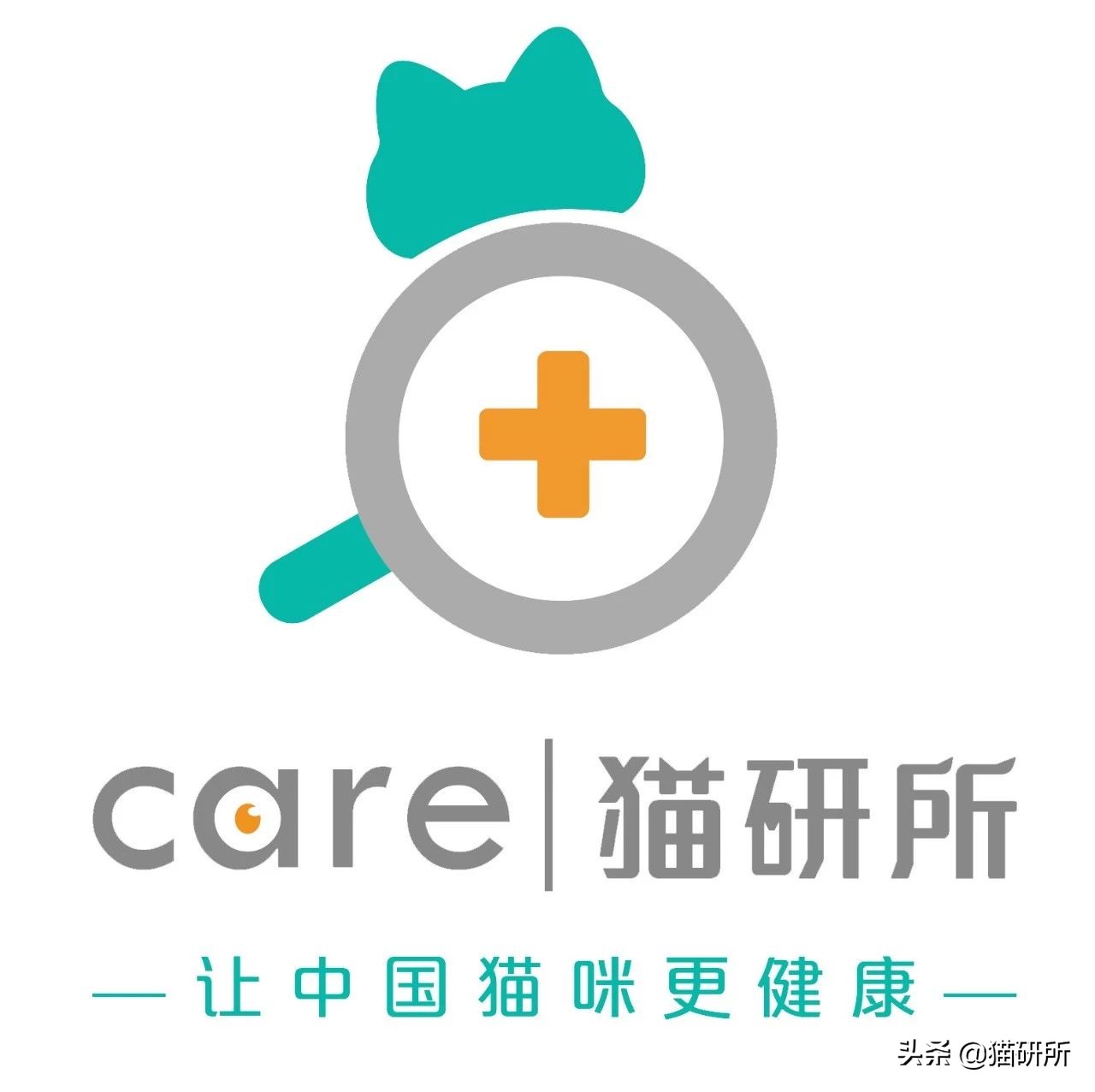 尿闭、尿血...猫咪泌尿问题反反复复，可能是弄混了这3种病