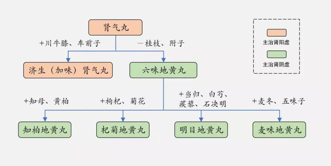 科普：六味地黄丸家族有哪些？一文带你了解祖孙三代