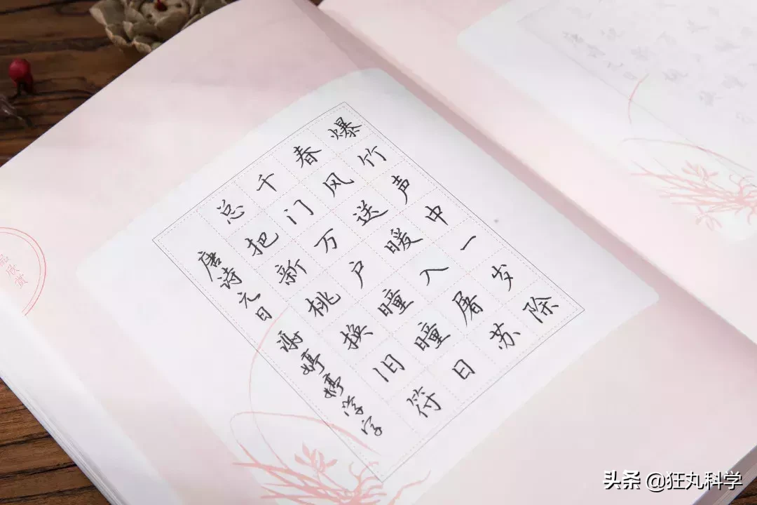 手写最美古诗词：这本诗集，教你写出漂亮中国字