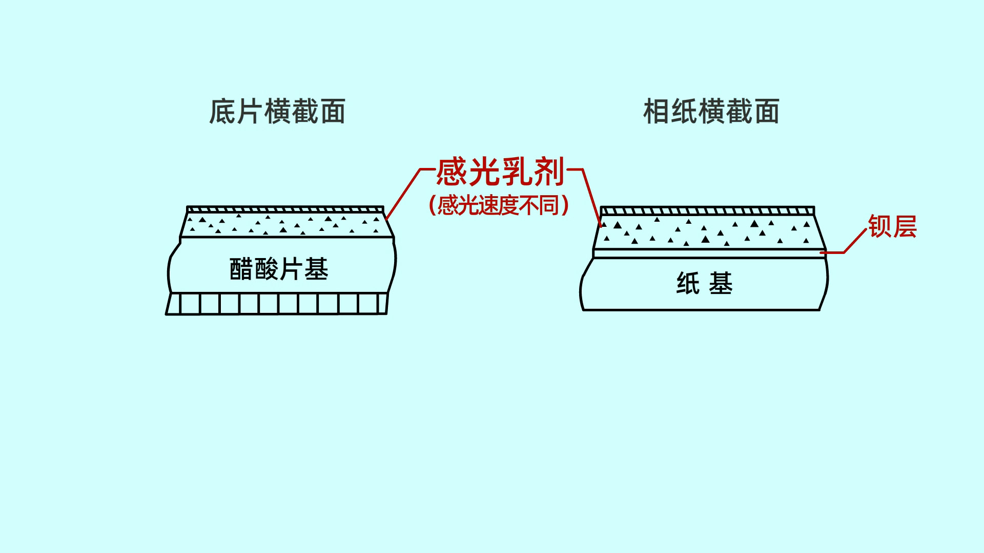 一看就懂：冲洗底片和照片的原理