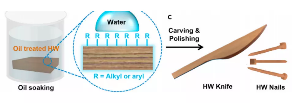 中国科学家将天然木材硬度提高23倍，化学处理4小时即可实现