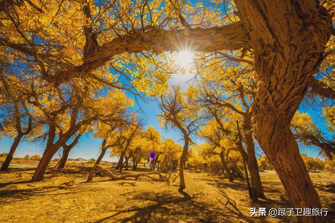 盘点中国“四大无人区”里的著名景点，你都知道哪些？