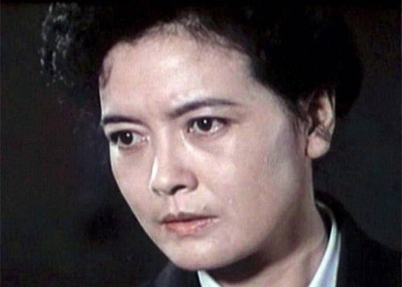 赵尔康杨雅琴潘虹主演,演员境遇如何