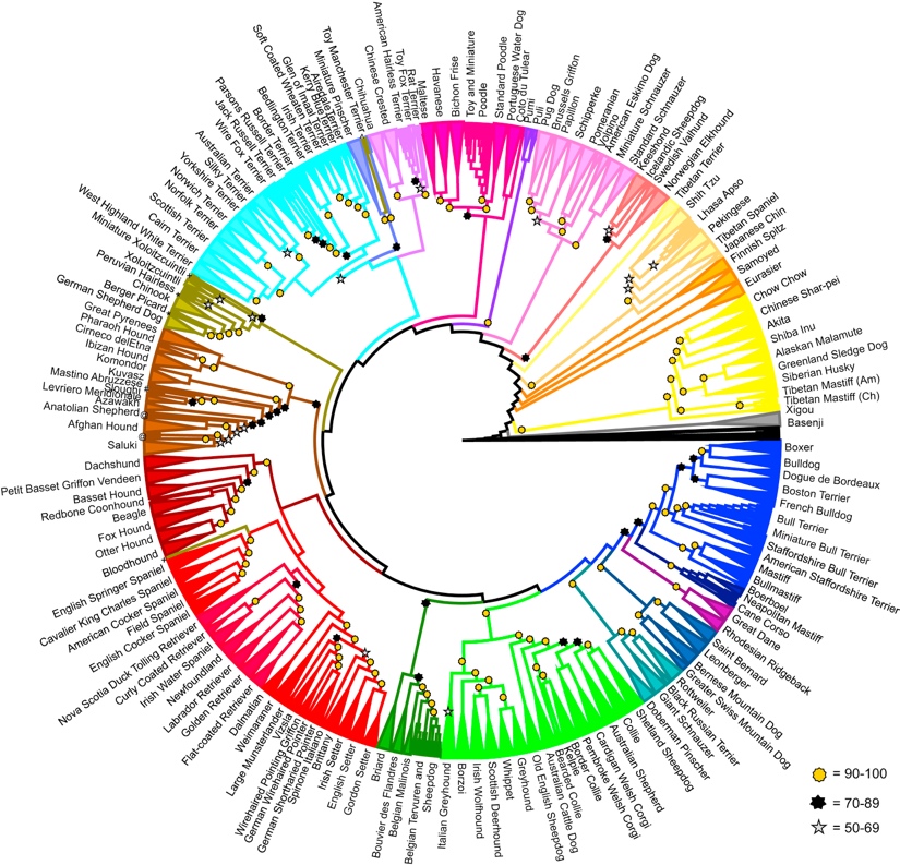 这种上古与人同葬的动物，还能帮你减肥、长寿？