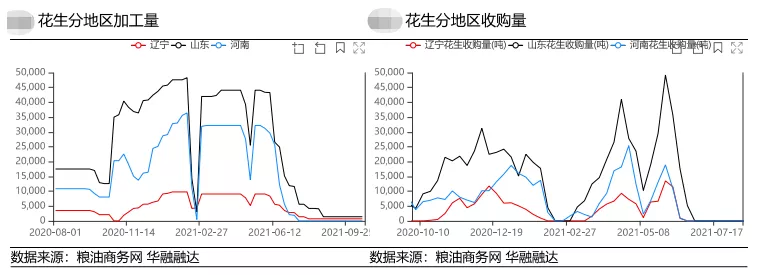 期价低位跃跃欲试 新季花生有惊喜？