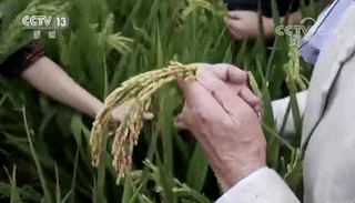 才德盖一国，风骨流芳，国士无双