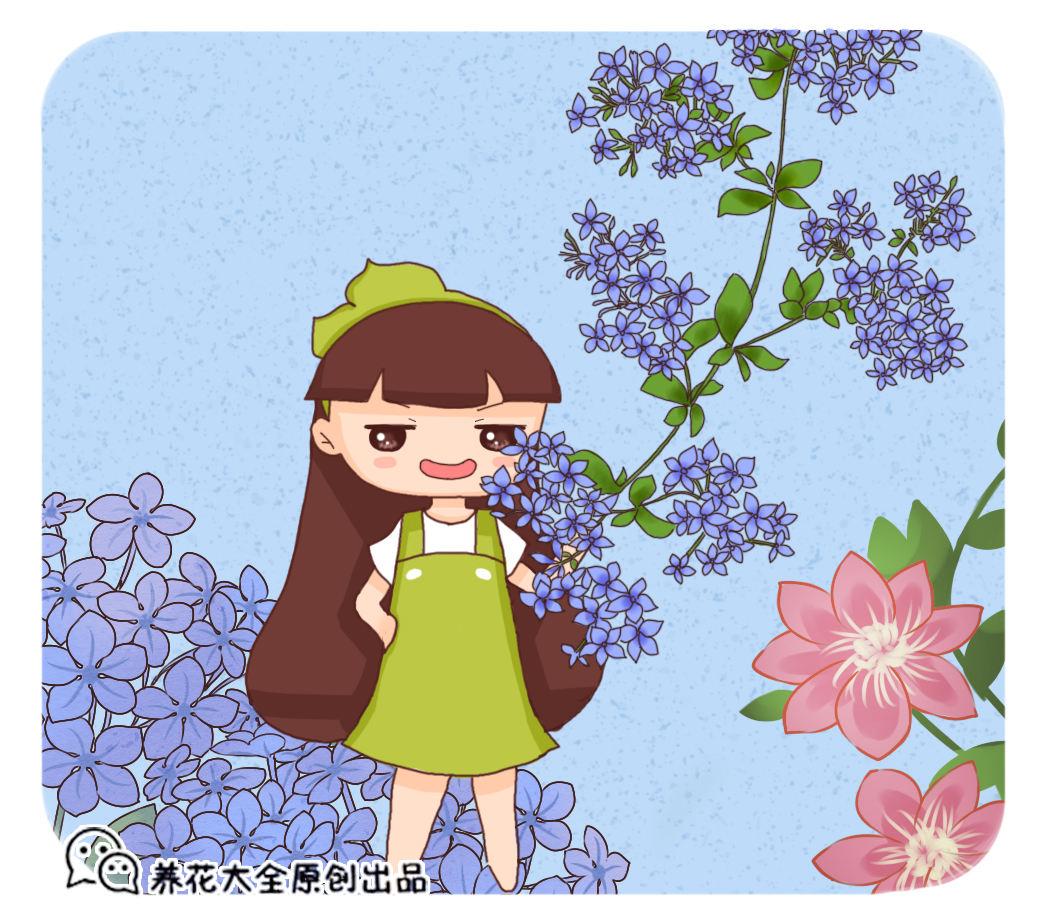 喜欢蓝色的一定不要错过,这5种蓝色系的花,清新又浪漫