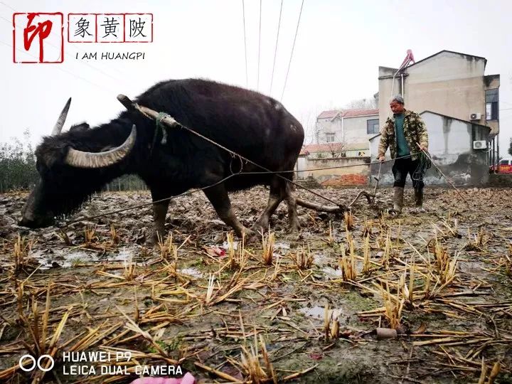 父亲，那双饱经风霜的手