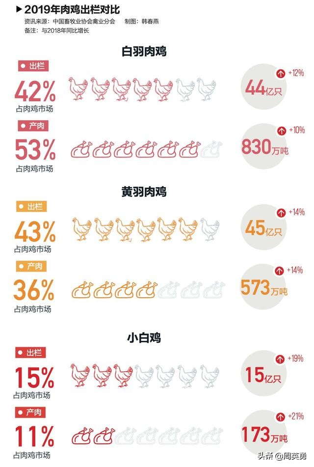 “黑天鹅”袭击养鸡业:下半年的吃鸡难题